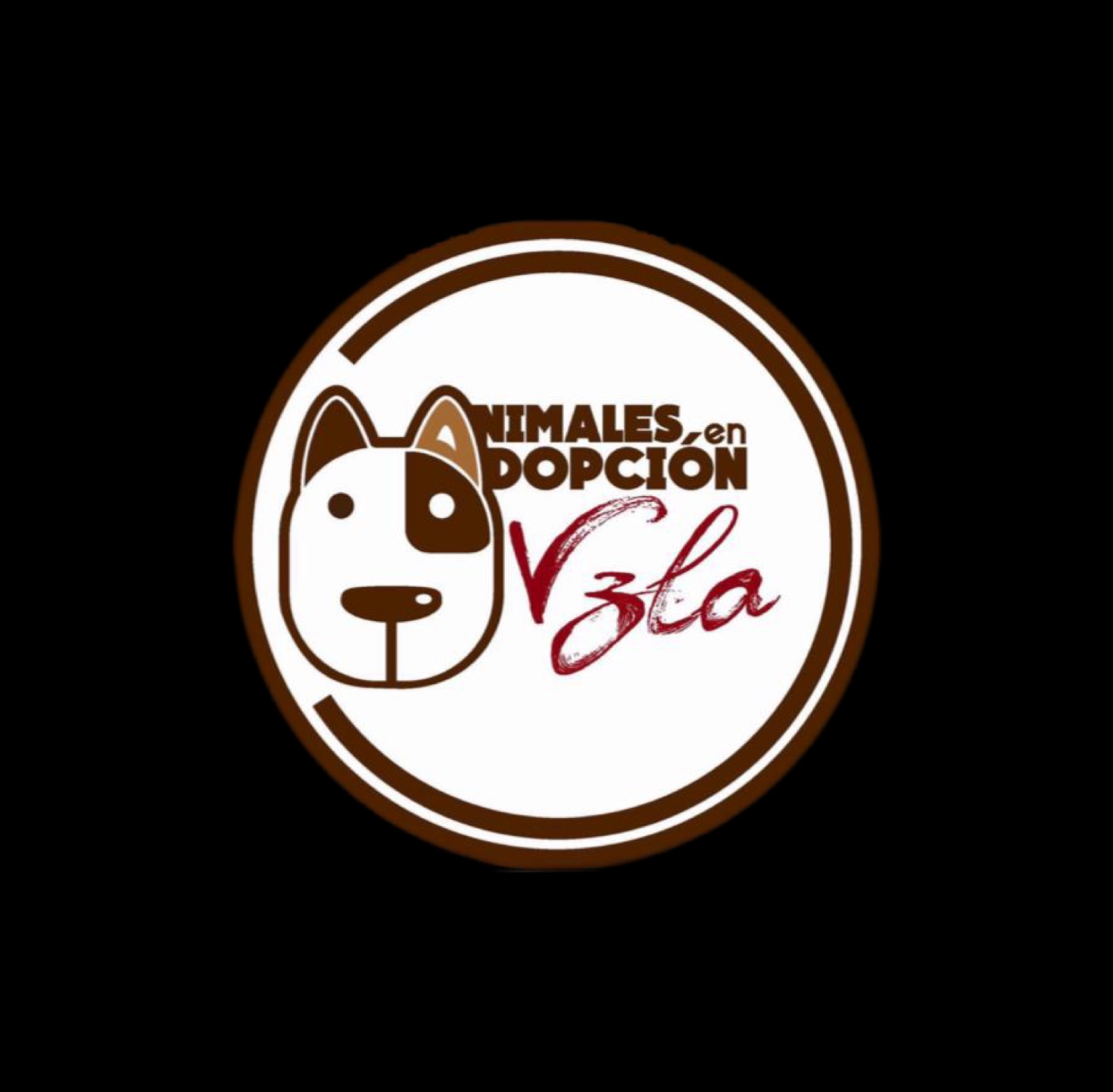 Animales En Adopción Vzla